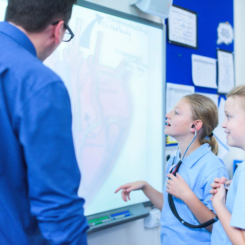 hailsham community college